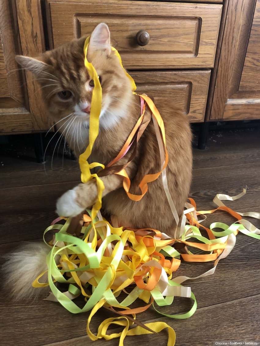 Кто долго запрягает, тот быстро едет (фото 2)