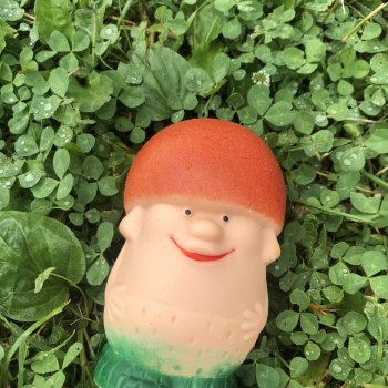 Грибы пошли