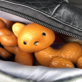 Невиданный зверь из сибирских лесов