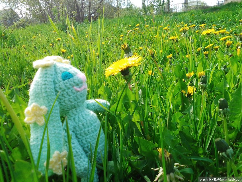 Зайка — Вязаные игрушки и амигуруми: крючком