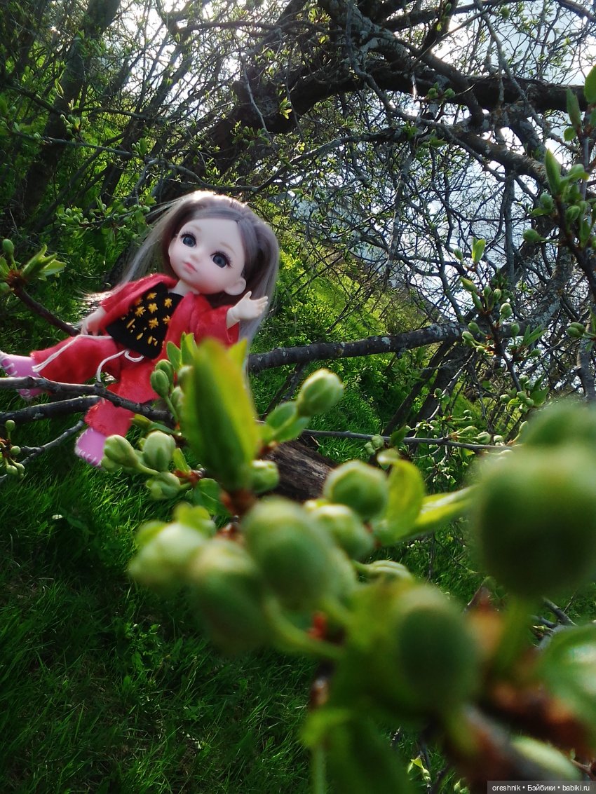 Еще весенняя прогулка | Бэйбики Еще весенняя прогулка — Куклы Baboliy (Баболи (фото 6)