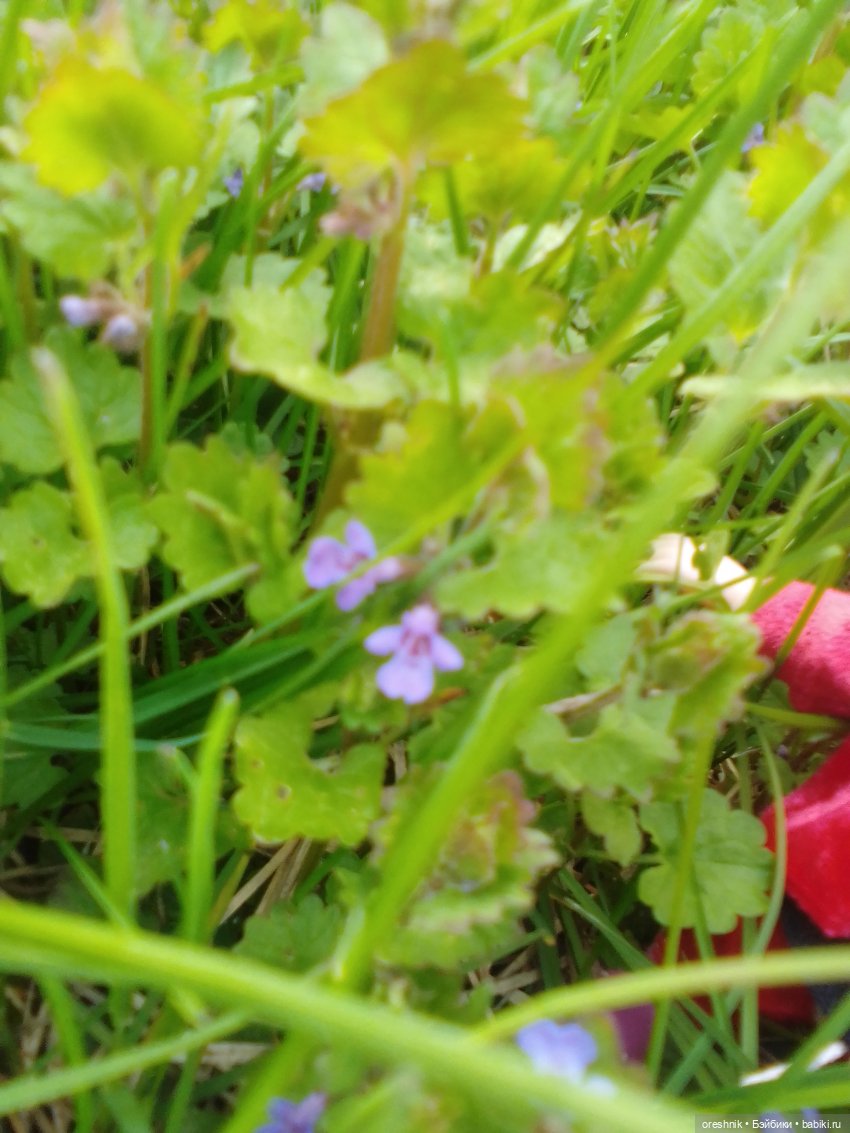 Еще весенняя прогулка | Бэйбики Еще весенняя прогулка — Куклы Baboliy (Баболи (фото 2)