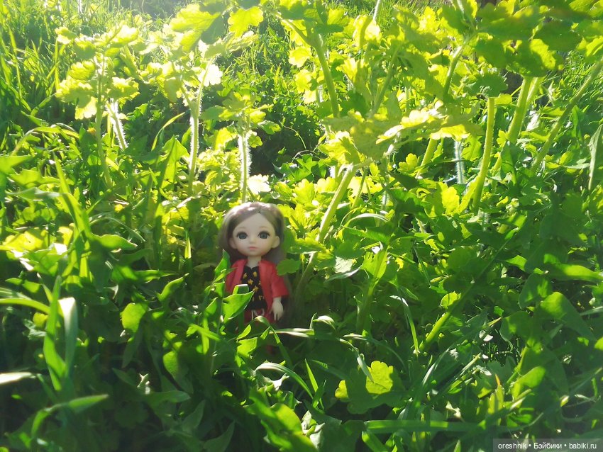 Еще весенняя прогулка | Бэйбики Еще весенняя прогулка — Куклы Baboliy (Баболи