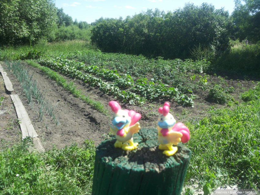 Ягодное лето — Куклы Baboliy (Баболи