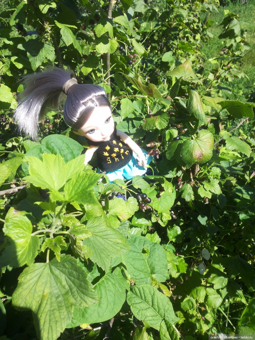 Ягодное лето — Куклы Baboliy (Баболи (фото 7)