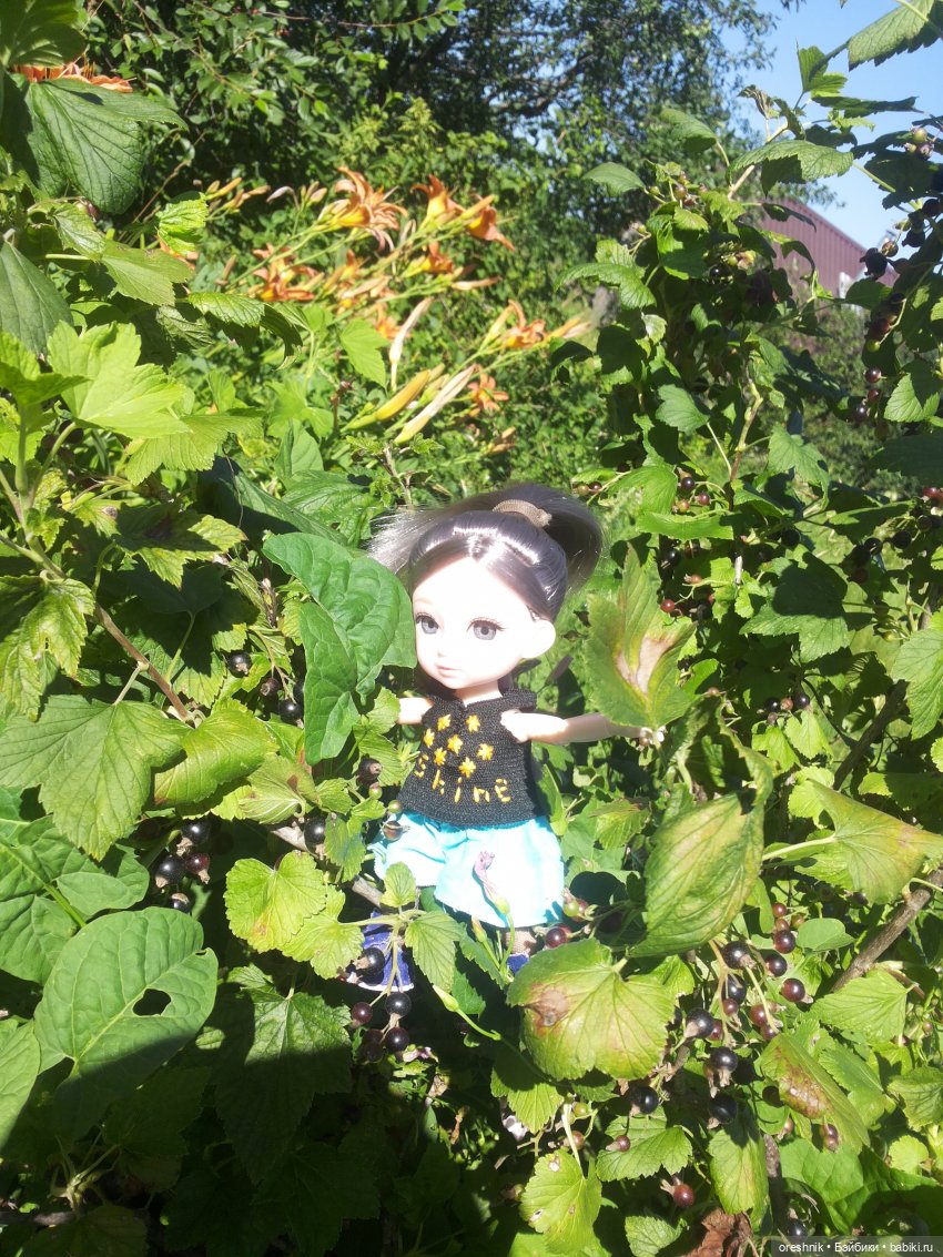 Ягодное лето — Куклы Baboliy (Баболи (фото 6)