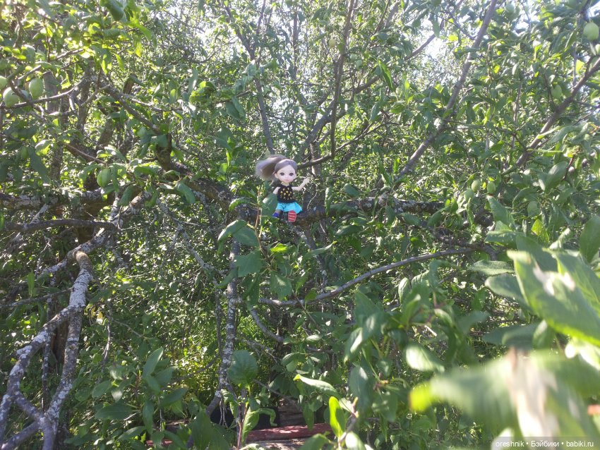 Ягодное лето — Куклы Baboliy (Баболи (фото 9)