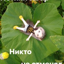 Лето – это маленькая жизнь 3🌅