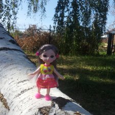 Тайны переписки или как куклы подружились)