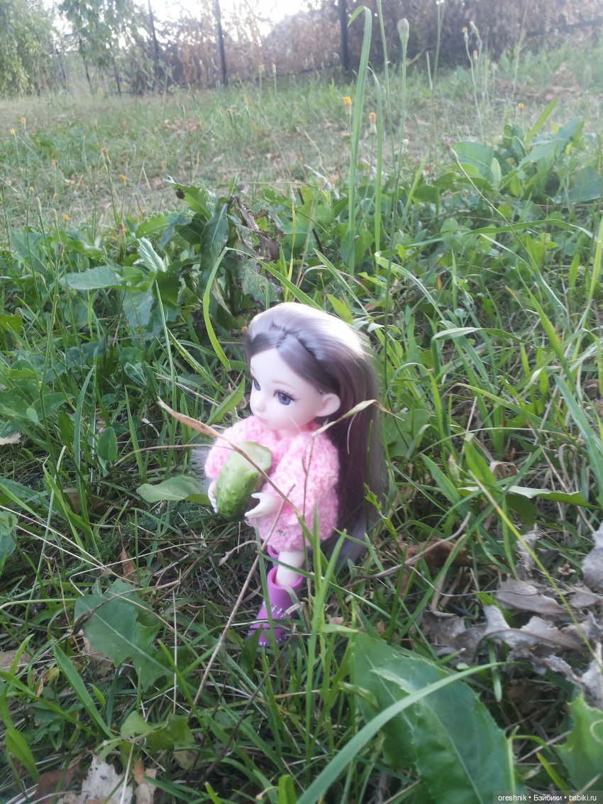 Осень — Куклы Baboliy (Баболи