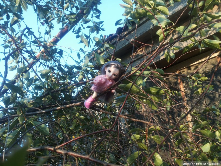 Осень — Куклы Baboliy (Баболи