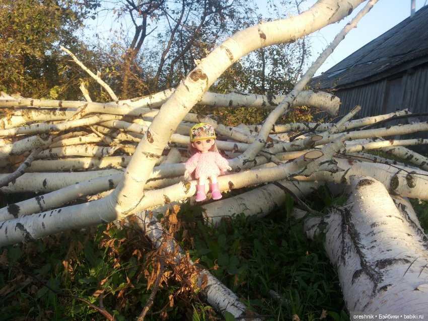 Осень — Куклы Baboliy (Баболи