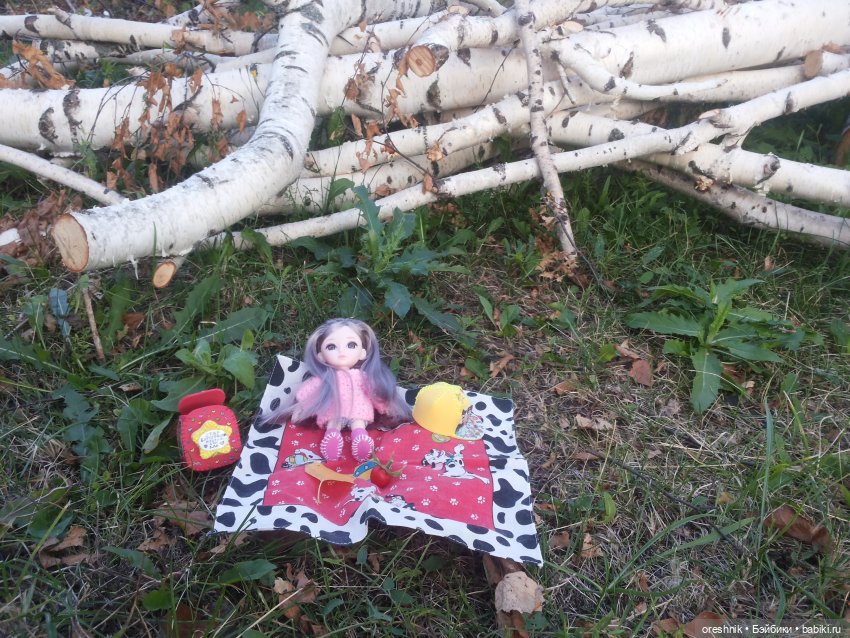 Осень — Куклы Baboliy (Баболи