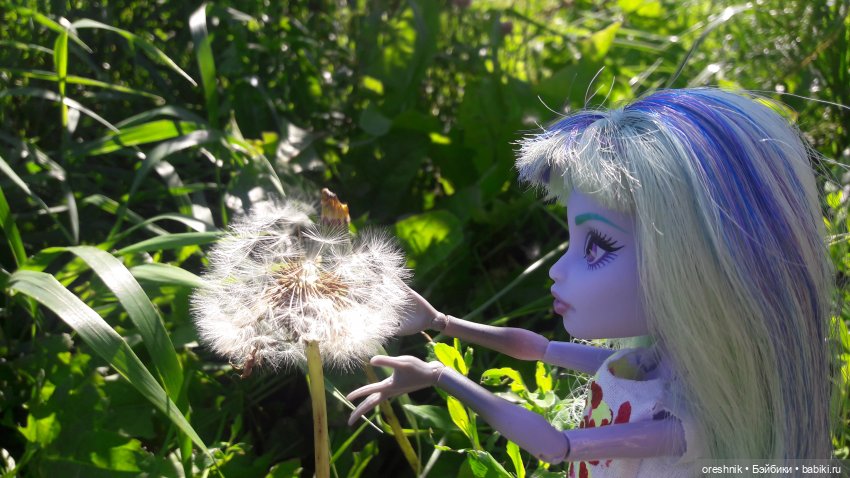 Летняя прогулка Твайлы 2023🌄🌤️🌳 (фото 8)