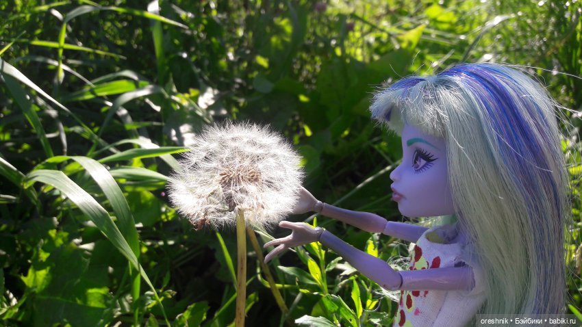 Летняя прогулка Твайлы 2023🌄🌤️🌳 (фото 7)