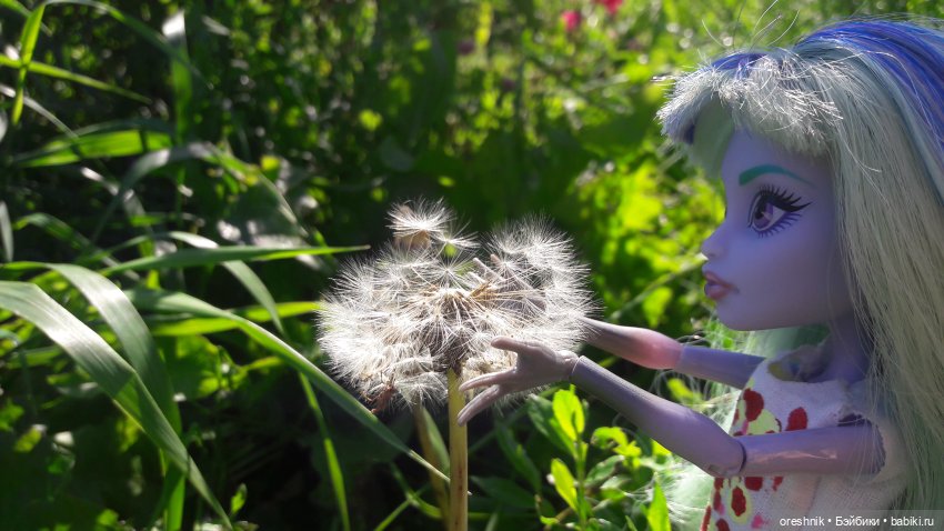 Летняя прогулка Твайлы 2023🌄🌤️🌳 (фото 10)