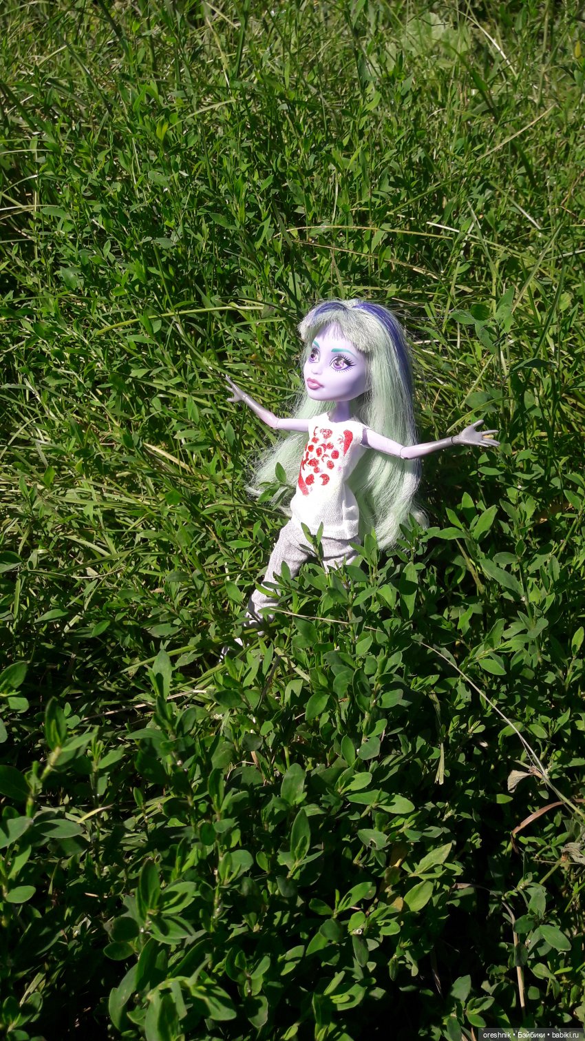 Летняя прогулка Твайлы 2023🌄🌤️🌳 (фото 2)