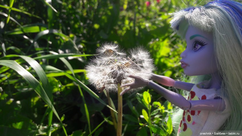 Летняя прогулка Твайлы 2023🌄🌤️🌳 (фото 9)