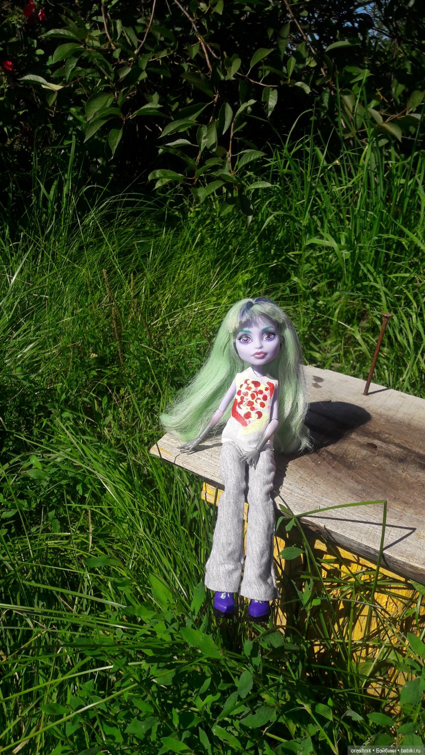 Летняя прогулка Твайлы 2023🌄🌤️🌳