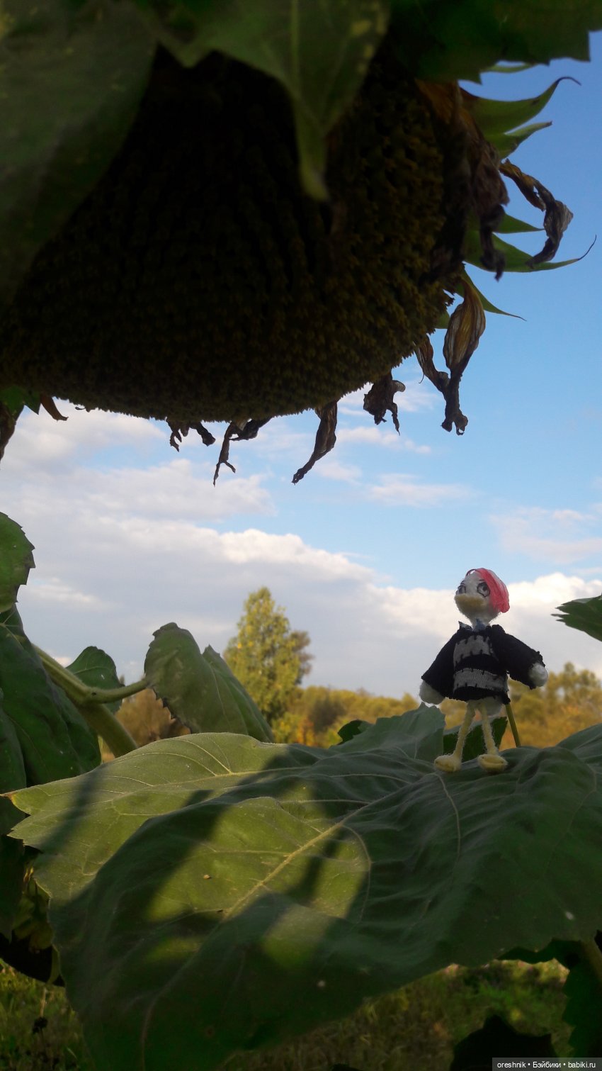 Утка🦆🌳🏞️ — Вязаные игрушки и амигуруми: крючком (фото 6)