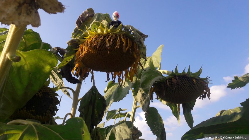 Утка🦆🌳🏞️ — Вязаные игрушки и амигуруми: крючком (фото 4)