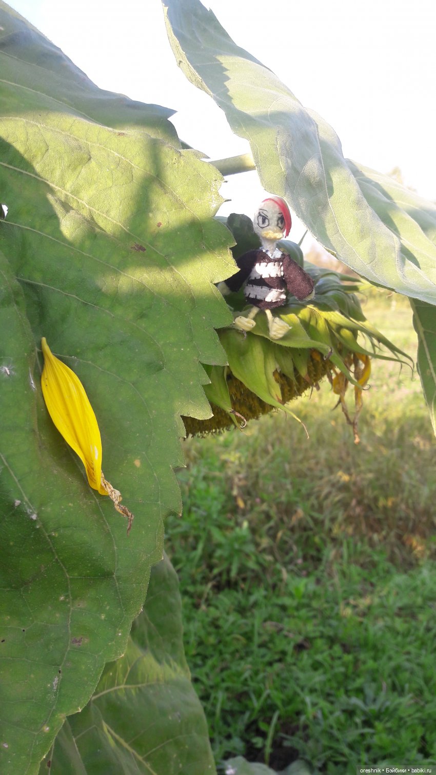 Утка🦆🌳🏞️ — Вязаные игрушки и амигуруми: крючком (фото 5)