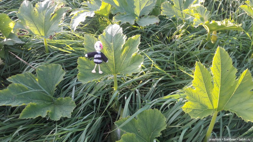 Утка🦆🌳🏞️ — Вязаные игрушки и амигуруми: крючком (фото 2)