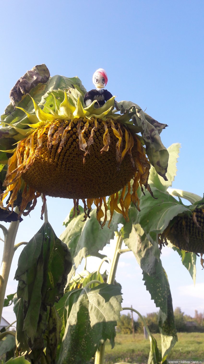 Утка🦆🌳🏞️ — Вязаные игрушки и амигуруми: крючком (фото 3)