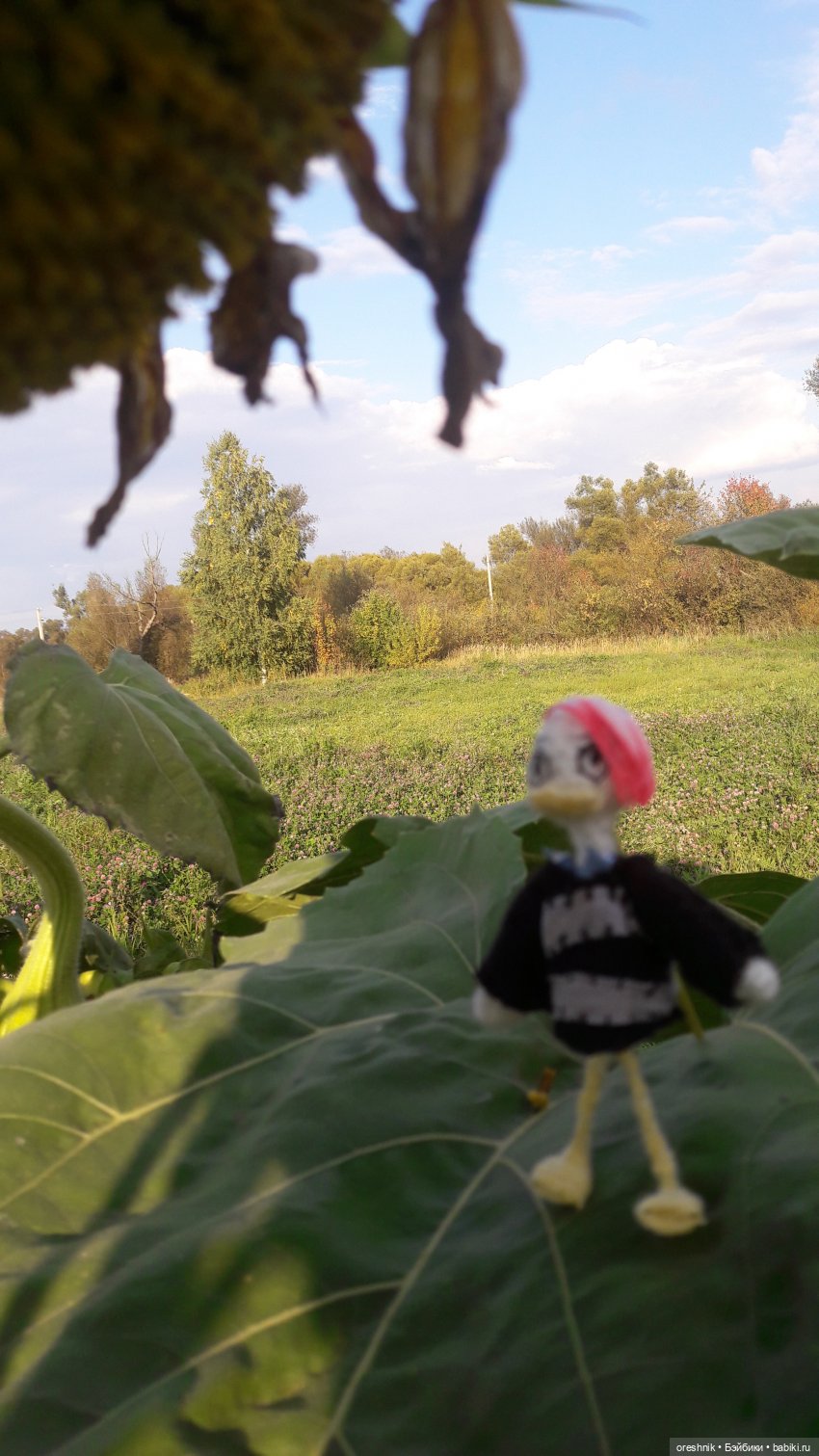 Утка🦆🌳🏞️ — Вязаные игрушки и амигуруми: крючком (фото 8)