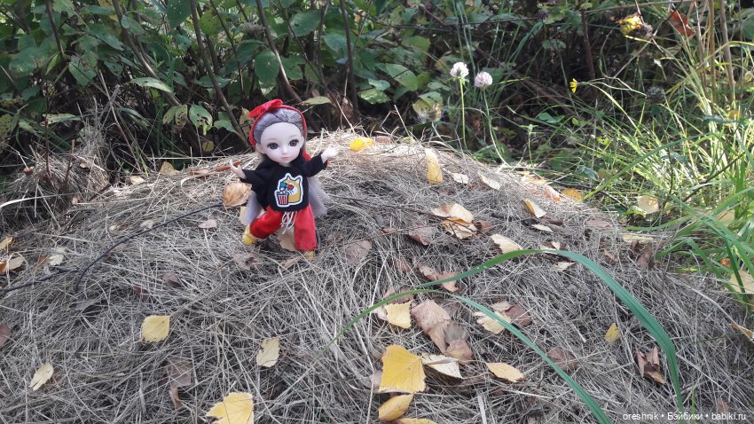 Как я осенью в листьях загорала🍁🍂🌤️