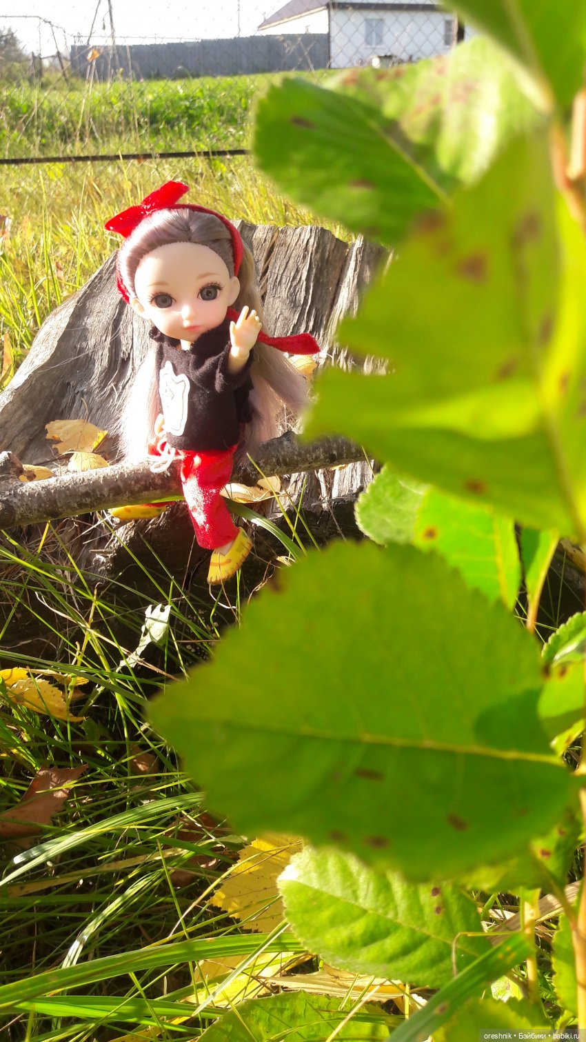 Как я осенью в листьях загорала🍁🍂🌤️