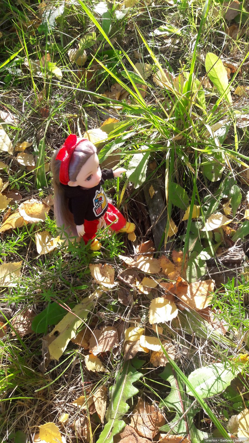 Как я осенью в листьях загорала🍁🍂🌤️ (фото 8)