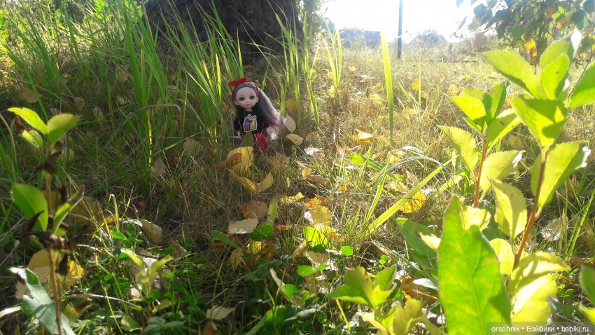 Как я осенью в листьях загорала🍁🍂🌤️