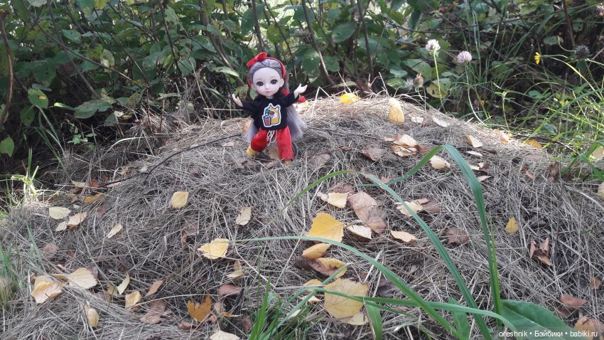 Как я осенью в листьях загорала🍁🍂🌤️