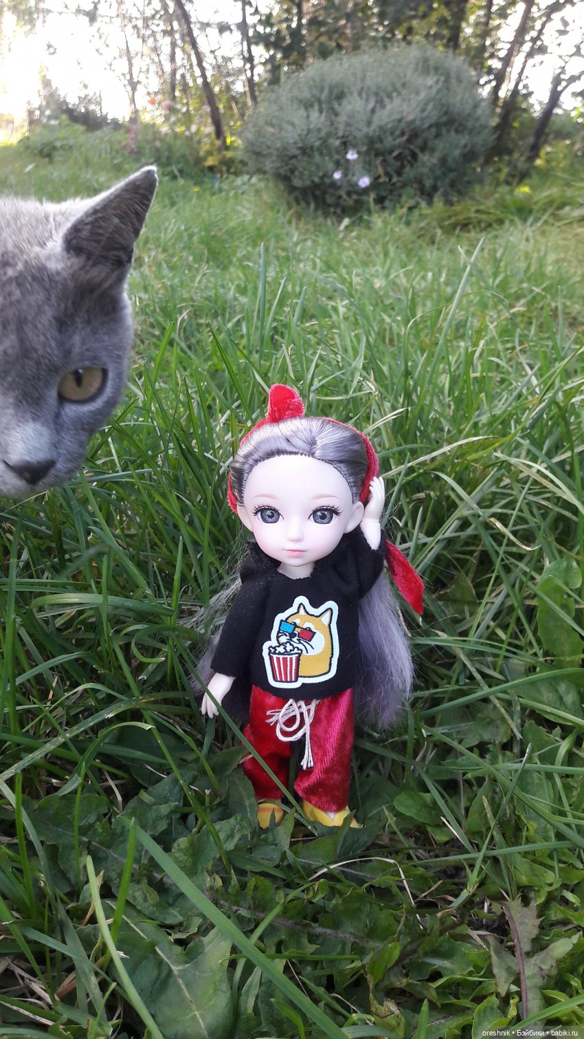 Осеннее кувыркание в цветах