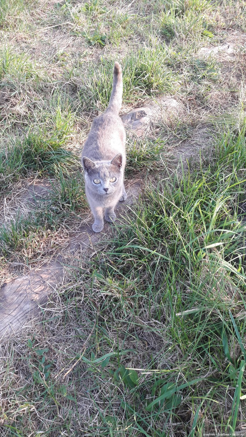 Осеннее кувыркание в цветах (фото 6)