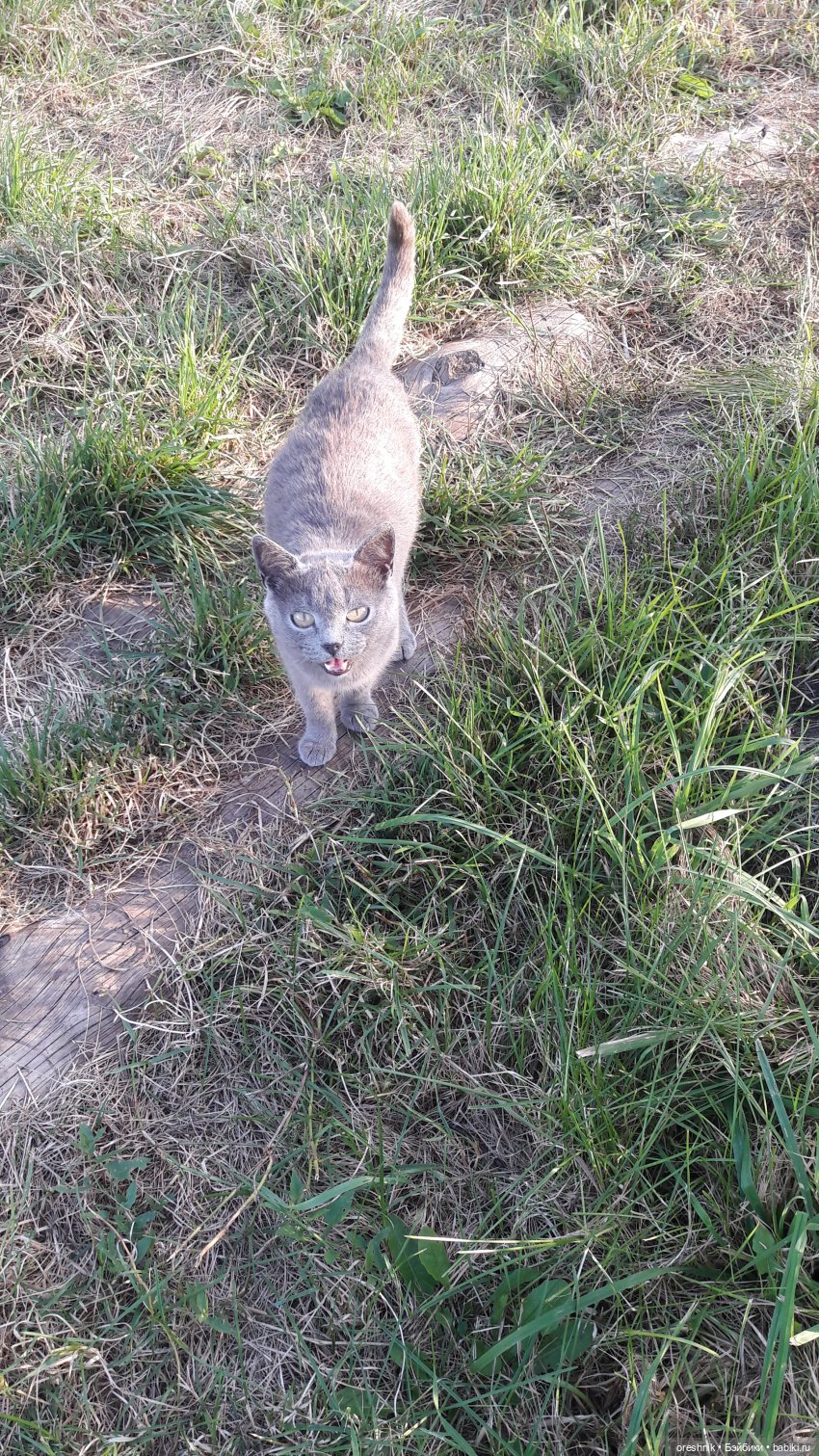 Осеннее кувыркание в цветах (фото 7)