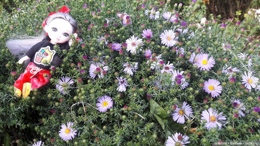 Осеннее кувыркание в цветах (фото 8)