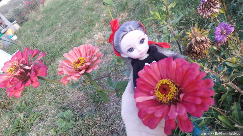 Осеннее кувыркание в цветах (фото 4)