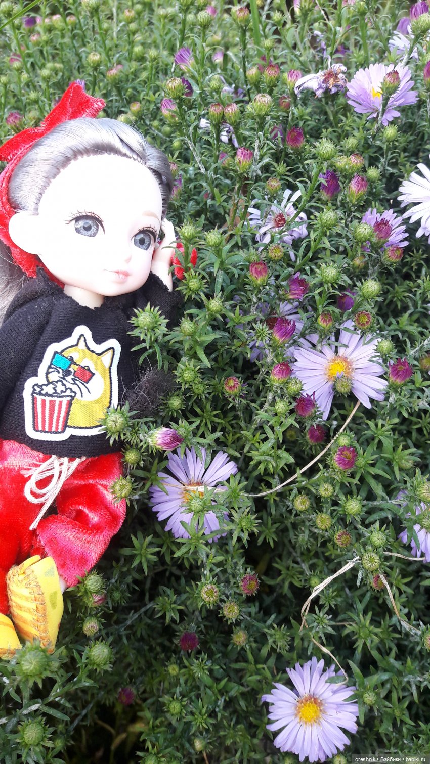 Осеннее кувыркание в цветах (фото 9)