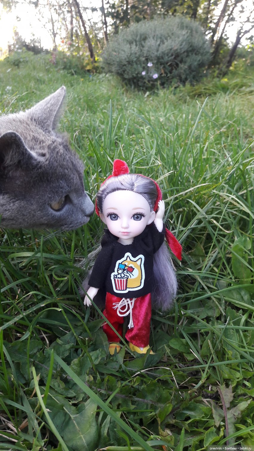 Осеннее кувыркание в цветах