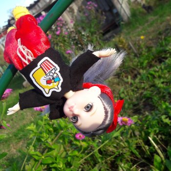 Осеннее кувыркание в цветах