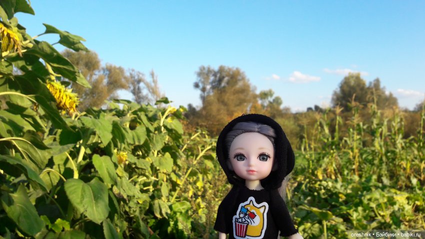 Как я кукурузу покоряла😋🌽🌤️