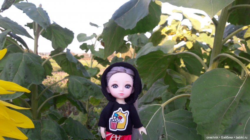 Как я кукурузу покоряла😋🌽🌤️