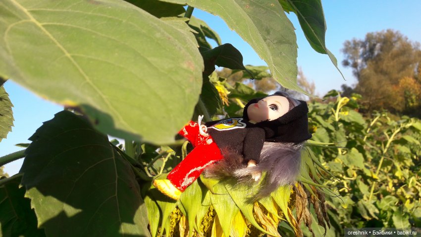 Как я кукурузу покоряла😋🌽🌤️