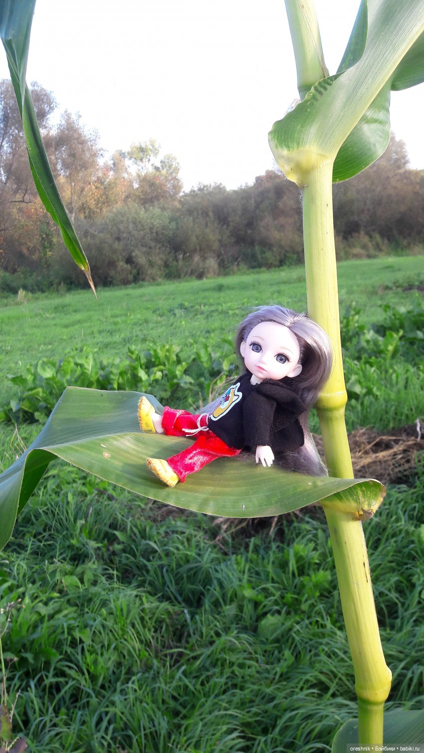 Как я кукурузу покоряла😋🌽🌤️