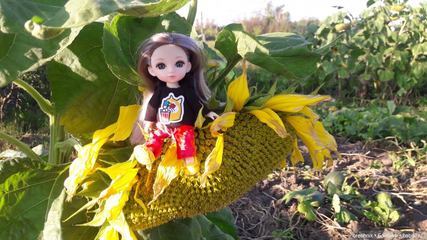 Как я кукурузу покоряла😋🌽🌤️