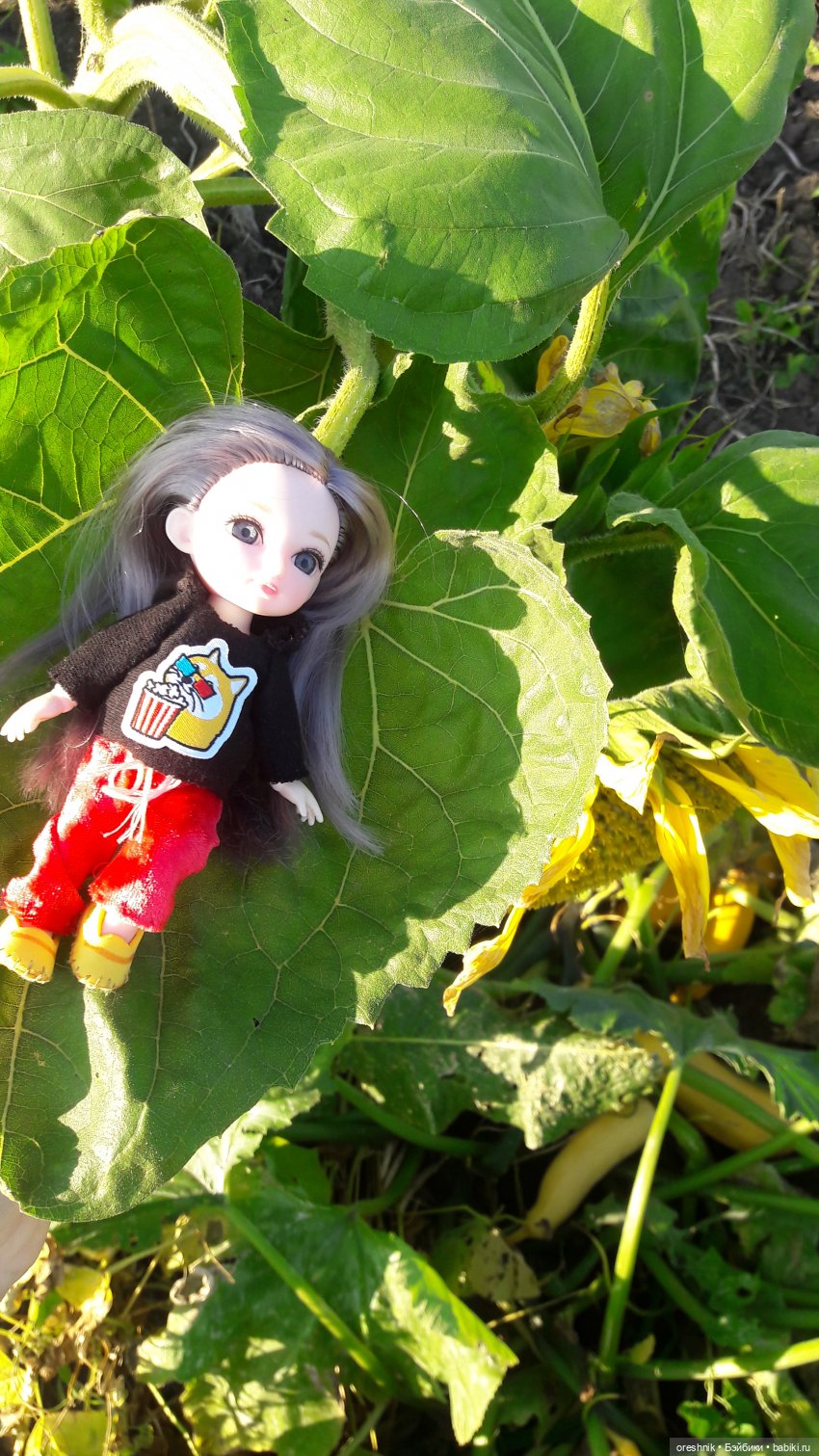 Как я кукурузу покоряла😋🌽🌤️