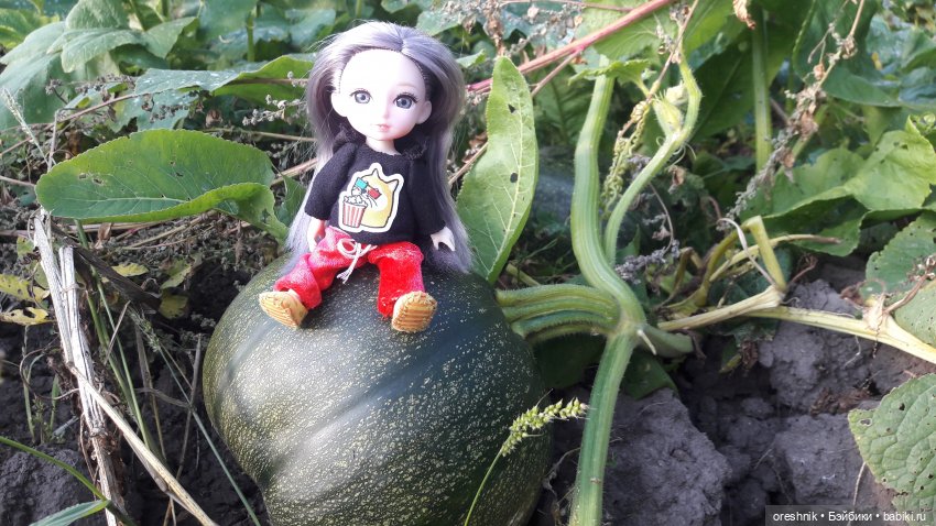 Как я кукурузу покоряла😋🌽🌤️