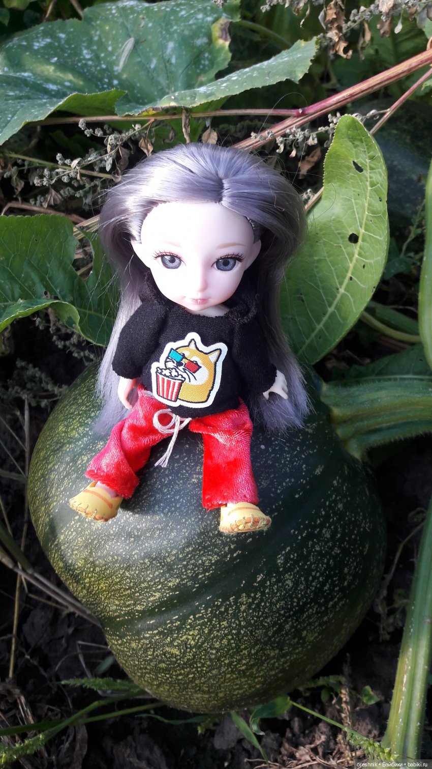 Как я кукурузу покоряла😋🌽🌤️